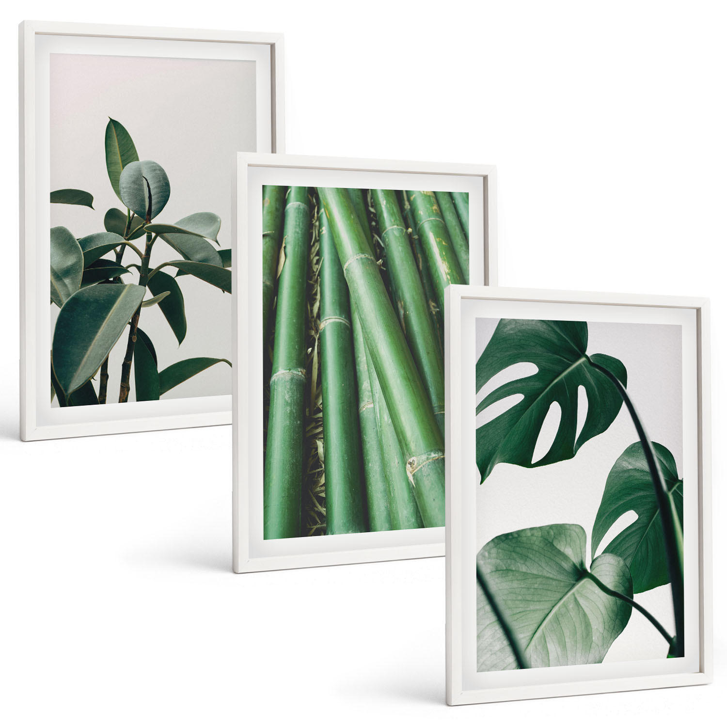 BILDER SET 3er Set - 40x60 cm Weißer Rahmen - Bambusstängel und Monstera-Blätter - Weiß, Kunststoff (40/60cm) - TULUP