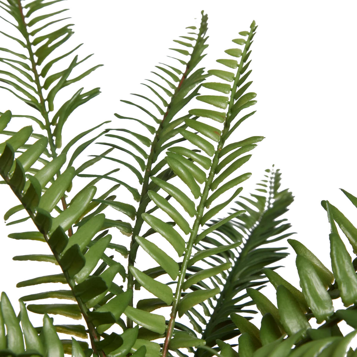 KUNSTPFLANZE Künstlicher Schwertfarn - Bali 51 cm - Grün, Kunststoff (51cm) - aplanta