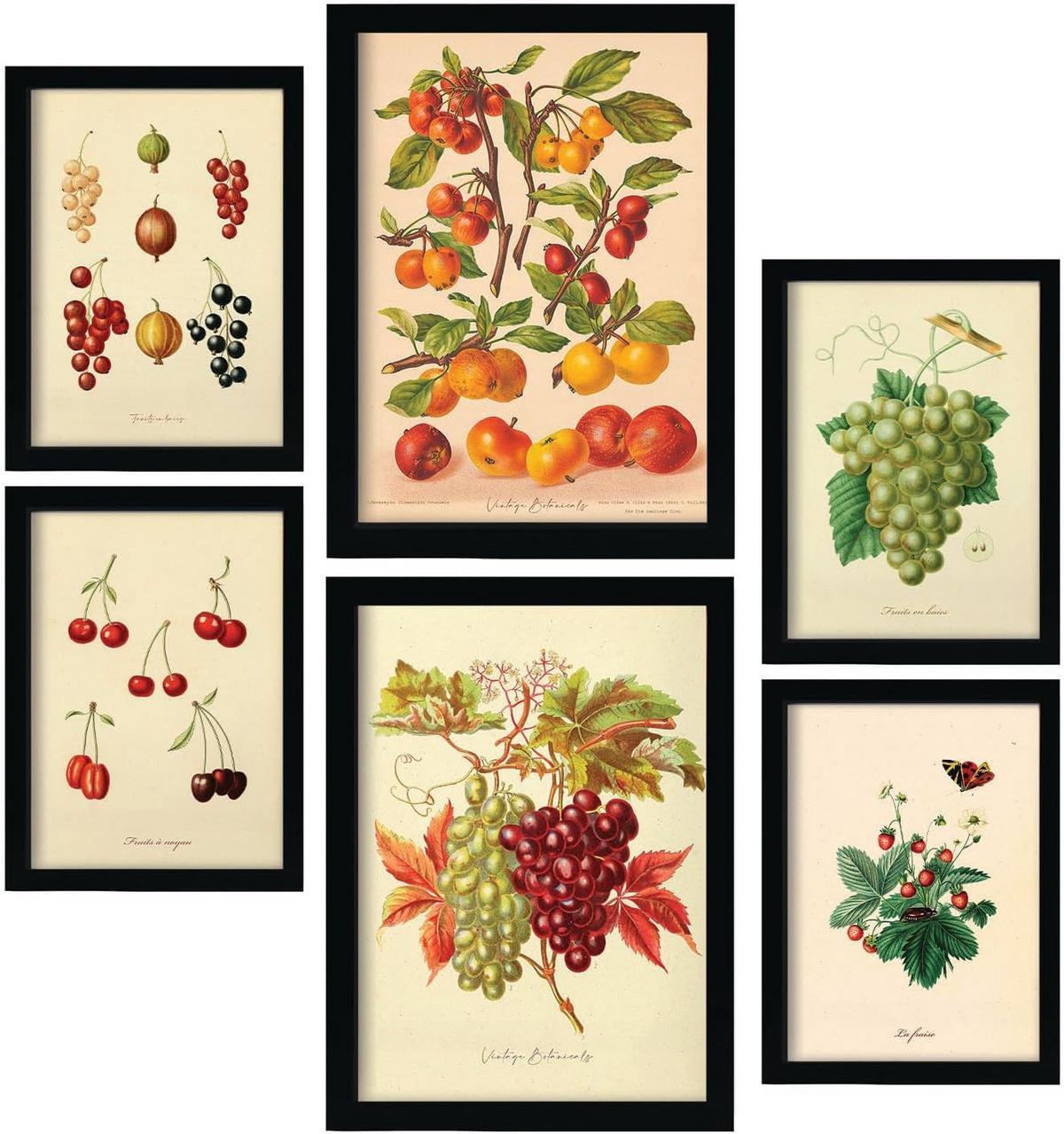POSTER Set Mit 6 Beeren In Vintage A3 & A4 Weißer Rahmen - Weiß, Papier (29/3cm) - Nacnic
