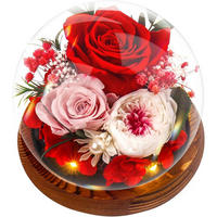 GLASROSE Ewige Rose mit Glaskuppel und Holzsockel - Multicolor, Holz (15cm)