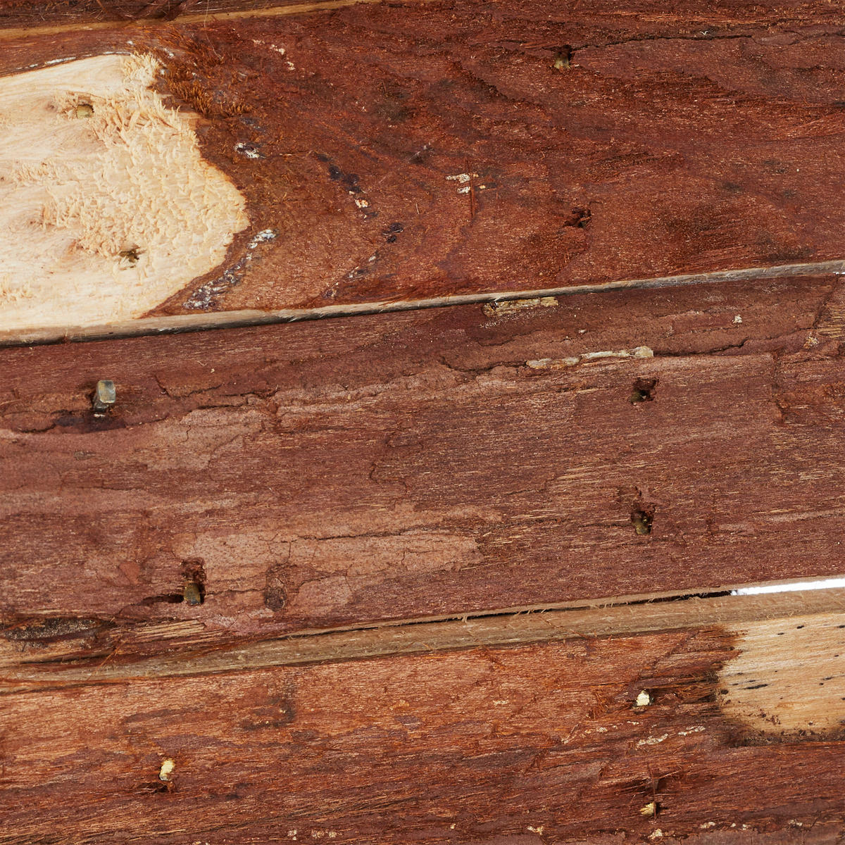 DEKO-VOGELHAUS - Braun, Holz (10.5/14.5/7.5cm) - Relaxdays