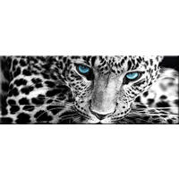 GLASBILD 80x30 cm Leopard Schwarz Weiß - Anthrazit, Glas (80/30cm) - artissimo