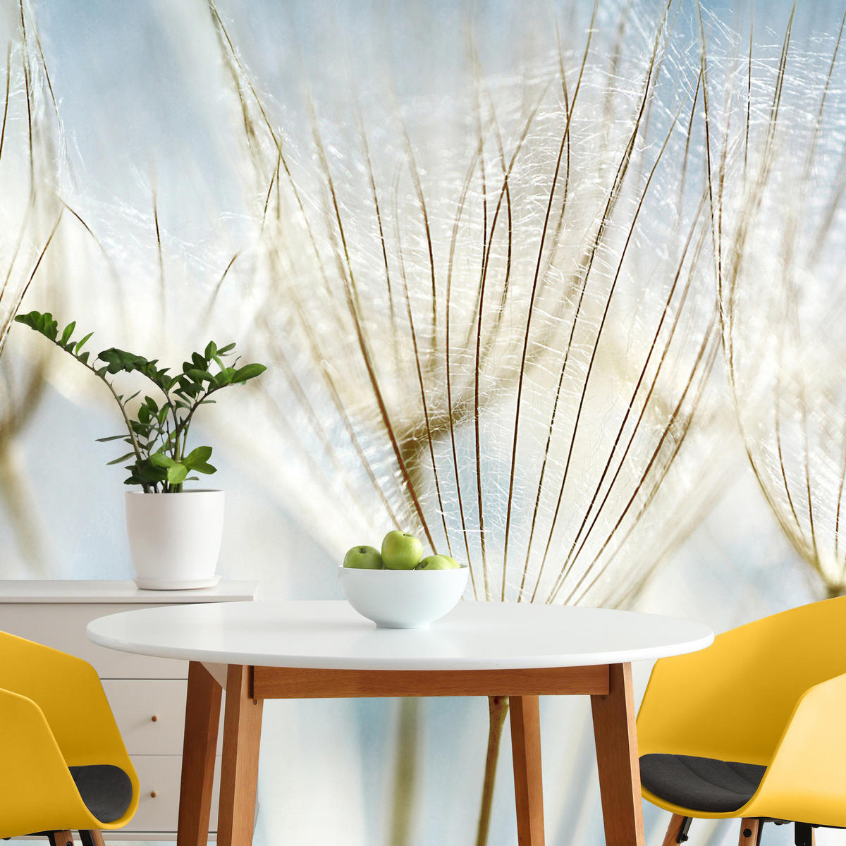 FOTOTAPETE für Wohnzimmer Löwenzahn Pflanzen Natur 500x350 - Blau/Beige, Papier (500/350cm) - Muralo