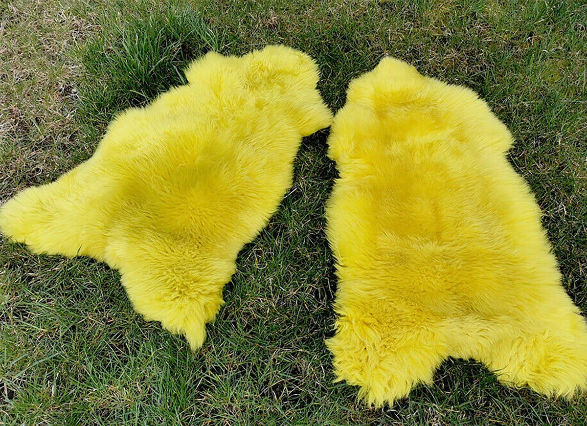 LAMMFELL Öko bunt gefärbt weich Fell Teppich Sonnengelb ca. 90 cm - Gelb, Fell (50/90cm) - Provellus