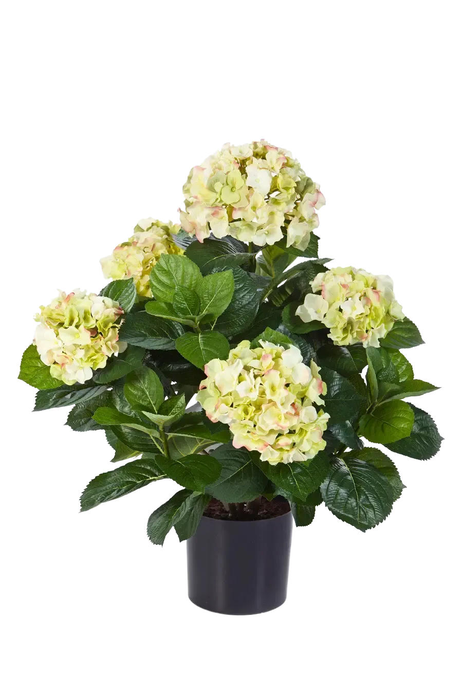 KÜNSTLICHE Hortensie - Noah 53 cm - Multicolor, Kunststoff (53cm) - aplanta
