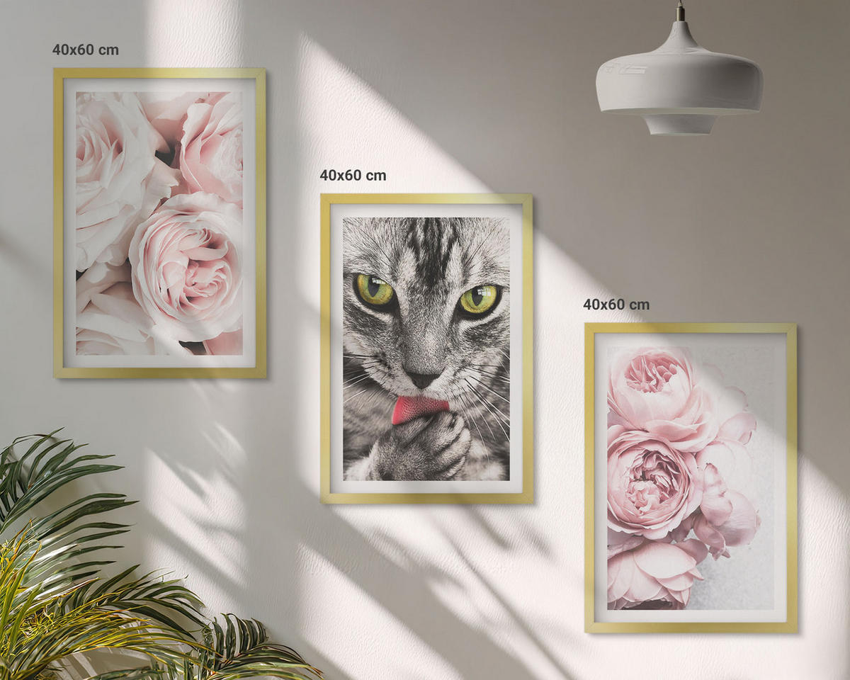 BILDER SET 3er Set - 40x60 cm Goldrahmen - Katze in rosa Blumen - Goldfarben, Kunststoff (40/60cm) - TULUP