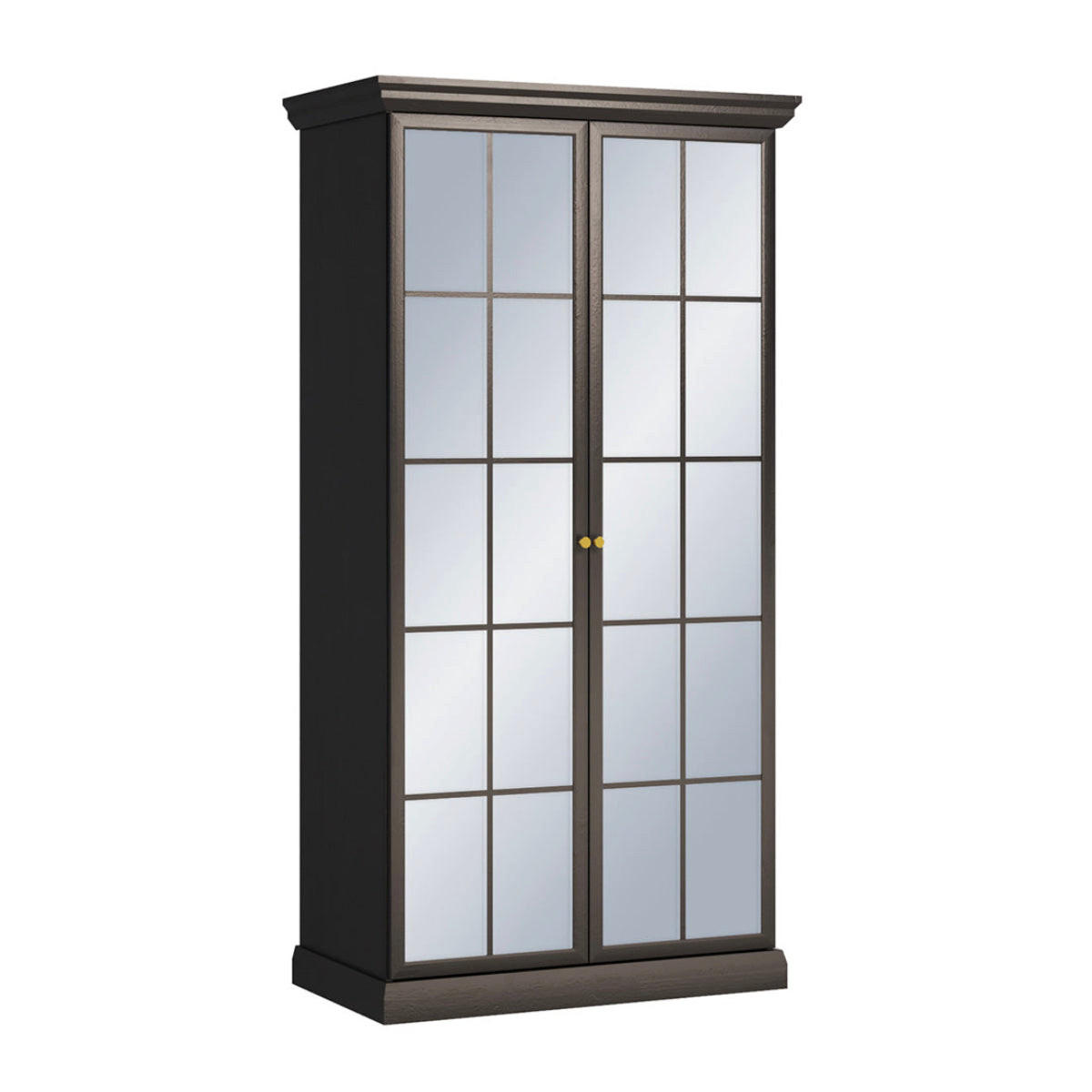 SCHRANK 2 Türen Toja Anthrazitfarbenes Holz - Braun, Holzwerkstoff (102.4/200/55.7cm) - Petits-meubles