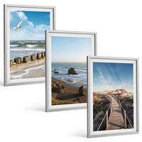 BILDER SET 3er Set - 40x60 cm Silberner Rahmen - Strandwellen, Himmelsbrücke, Spaziergang - Silberfarben, Kunststoff (40/60cm) - TULUP