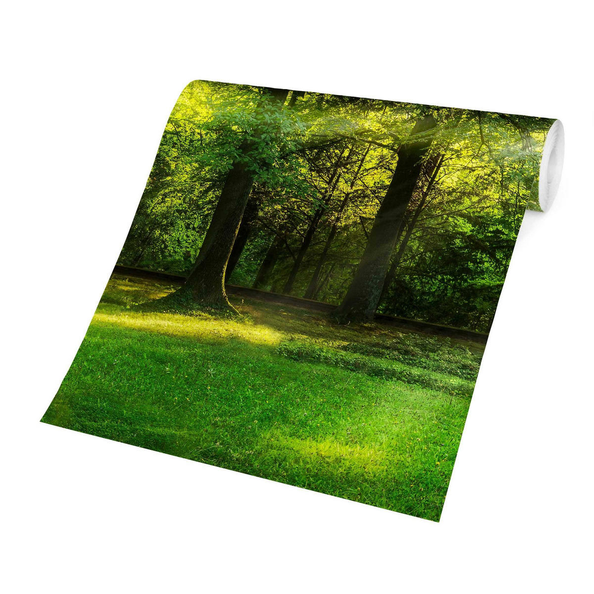 FOTOTAPETE Spaziergang im Wald 288/288 cm - Grün, Papier (288/288cm) - Bilderwelten