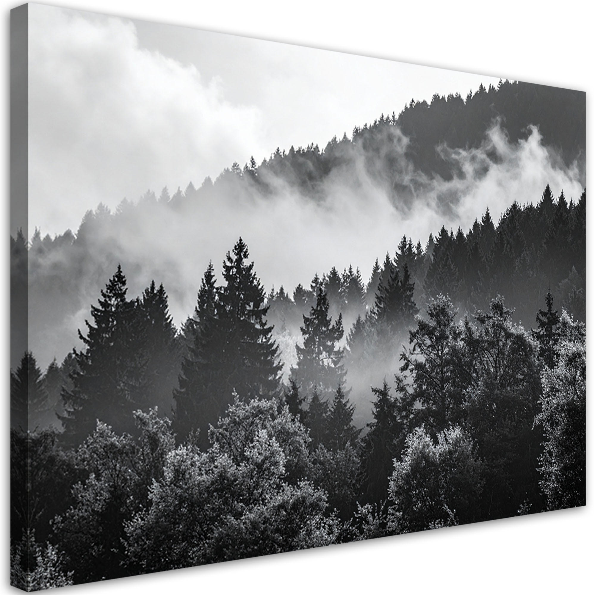 LEINWANDBILD Wald im Nebel schwarz-weiß 120x80cm - Schwarz, Textil (120/80cm) - Feeby