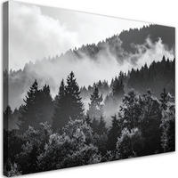 LEINWANDBILD Wald im Nebel schwarz-weiß 120x80cm - Schwarz, Textil (120/80cm) - Feeby