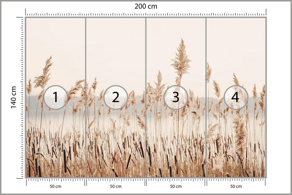 FOTOTAPETE für Wohnzimmer Pflanzen Natur 200x140 - Beige/Braun, Papier (200/140cm) - Muralo