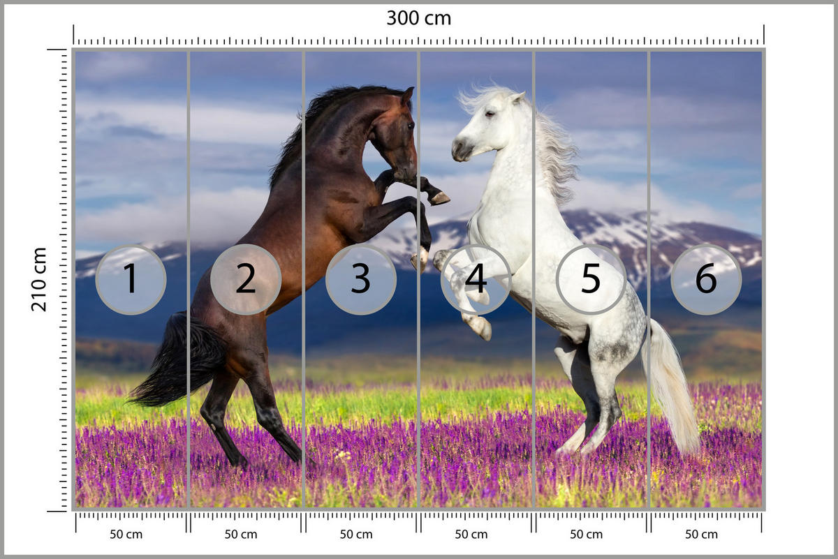 FOTOTAPETE für Esszimmer Pferde Lavendelfeld Berge Provence 300x210 - Beige/Violett, Papier (300/210cm) - Muralo