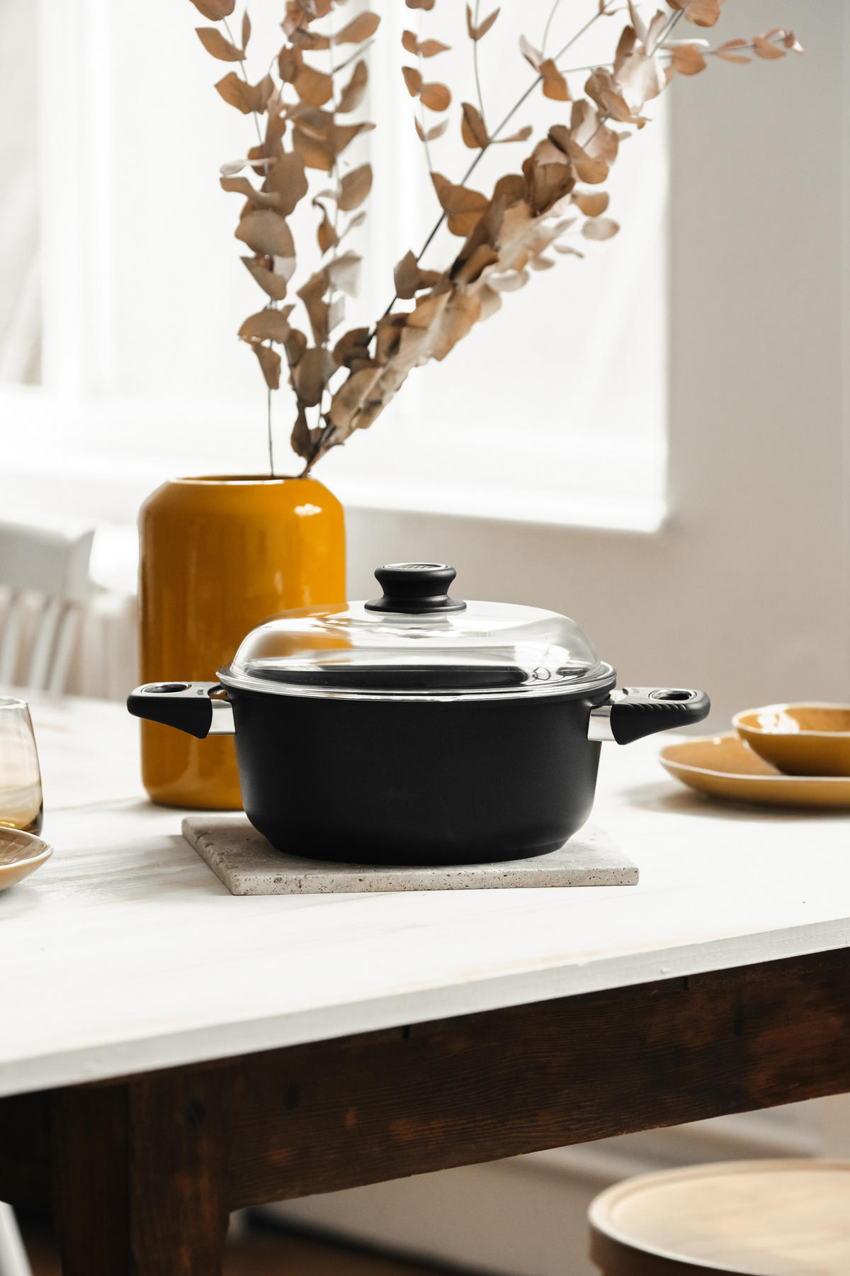 BRATENTOPF INDUKTION ⌀24cm - Schwarz, Kunststoff/Metall (24cm) - Gastrolux