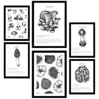 POSTER Set Mit 6 Pilzkomposition A3 & A4 Schwarzer Rahmen - Schwarz, Papier (29/3cm) - Nacnic