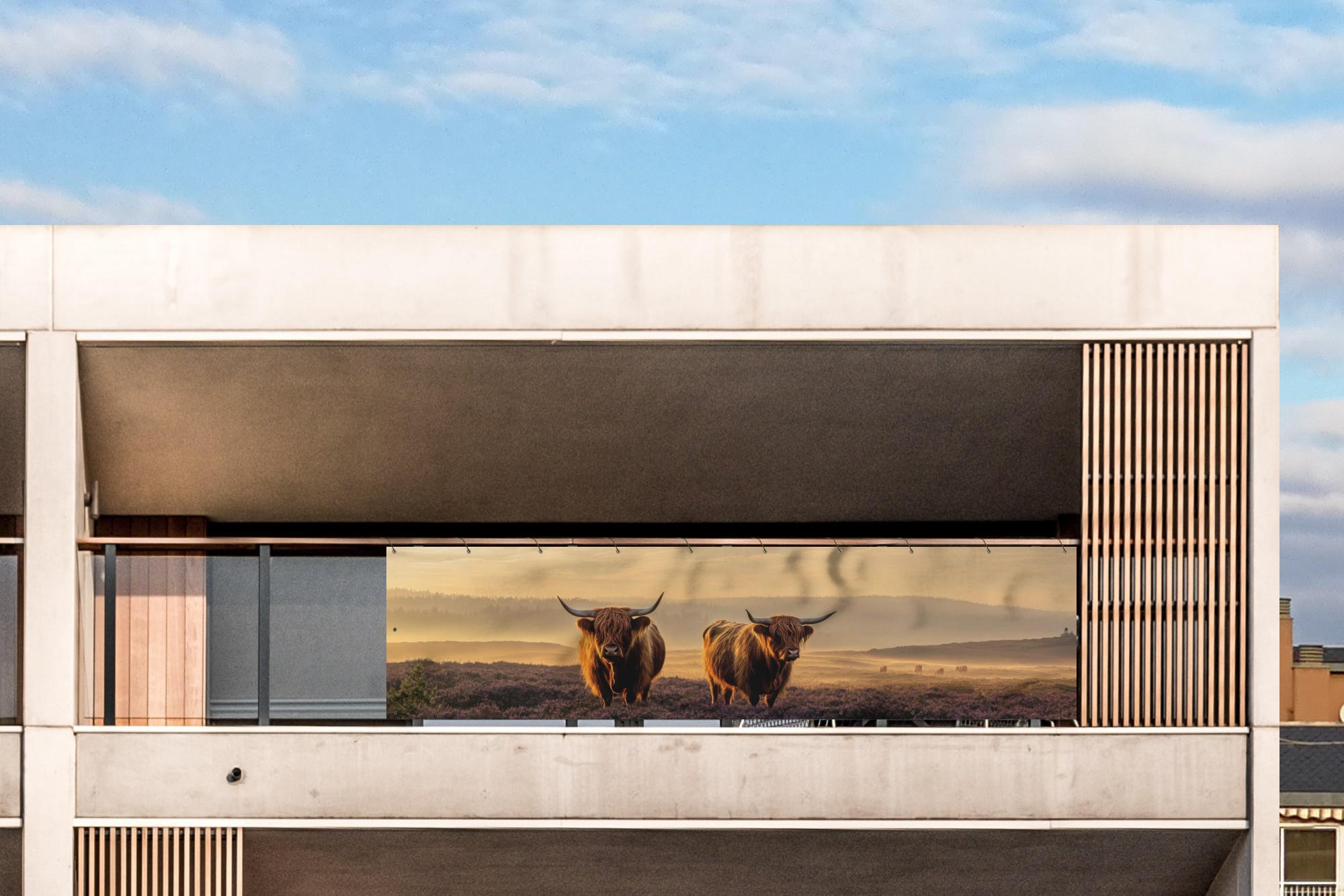 BALKON-SICHTSCHUTZ Schottische Hochlandbewohner - Heide - Landschaft - Tiere - Cognac, Kunststoff (300/85cm) - MuchoWow