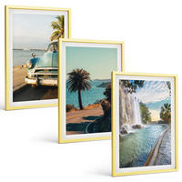 BILDER SET 3er Set - 40x60 cm Goldrahmen - Urlaub Palmen Wasserfall - Goldfarben, Kunststoff (40/60cm) - TULUP