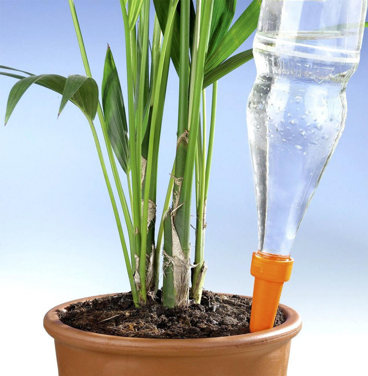 BEWÄSSERUNGSSPIKES 6er-Set - Orange, Kunststoff (3/15/3cm)