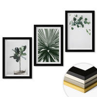 WANDBILDER 3er-Set - 20x30 cm Schwarzer Rahmen - Minimalismus mit grünen Pflanzen - Schwarz, Kunststoff (20/30cm) - ArtPrintCave