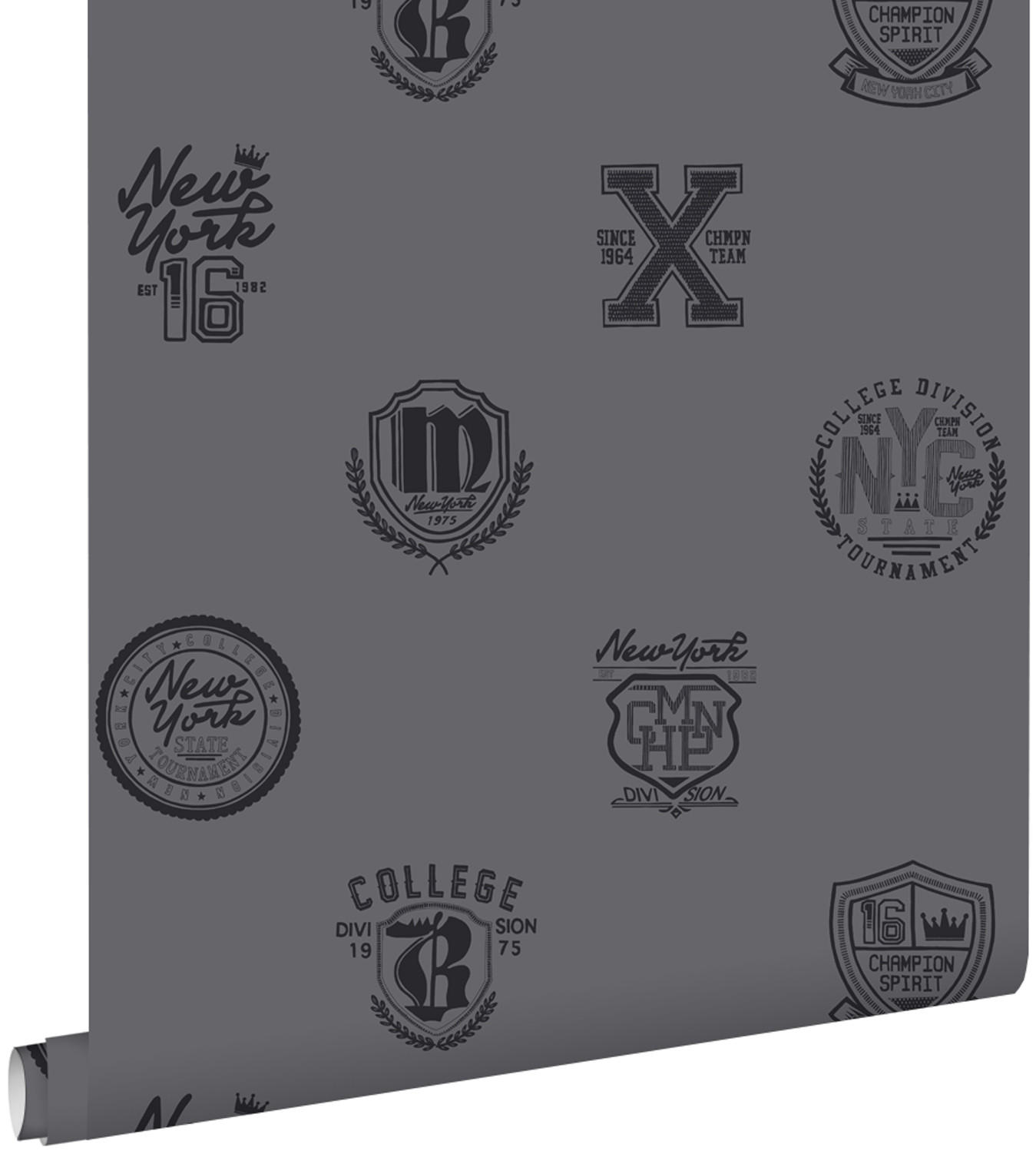 TAPETE Schulembleme 53 cm x 10.05 m - Grau, Papier (53/1000cm) - ESTAhome