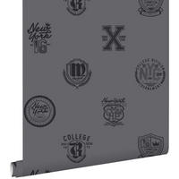 TAPETE Schulembleme 53 cm x 10.05 m - Grau, Papier (53/1000cm) - ESTAhome