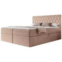 BOXBETT Carenzo Beige, Velours, 180x200 cm - Beige/Goldfarben, Textil (180/200cm) - Selsey