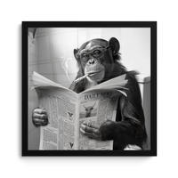 POSTER MIT RAHMEN Affe - WC - Zeitung - Schwarz-Weiß - Humor 40x40 cm - Hellgrau, Papier (40/40cm) - MuchoWow
