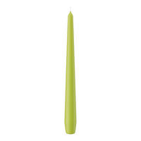 SPITZKERZEN (konische Kerzen) Apfelgrün 250 x Ø 25 mm, 12 Stück - Apfelbaumfarben, Paraffin (2.5/25/25cm) - Wiedemann Kerzen