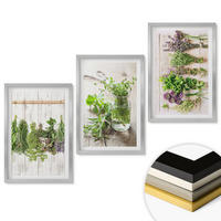 WANDBILDER 3er Set - 40x60 cm Silberner Rahmen - Kräuterpflanzen für die Küche - Silberfarben, Kunststoff (40/60cm) - ArtPrintCave