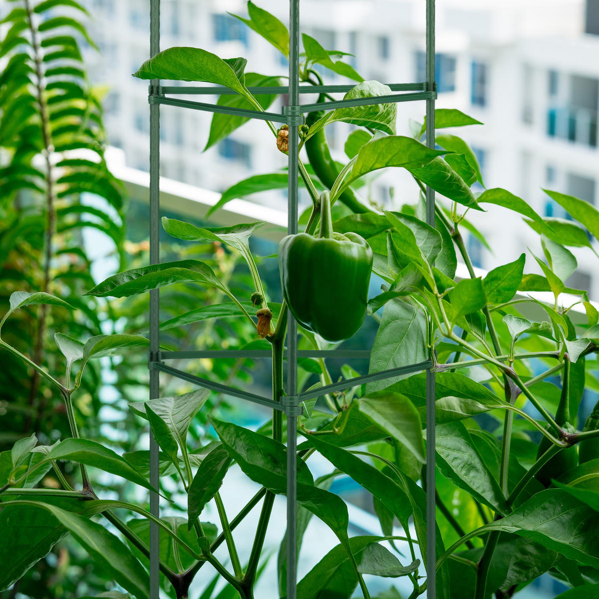 4XHOROLEZECKÁ podpěra - tmavě zelená, kov/plast (32/90/32cm) - Relaxdays