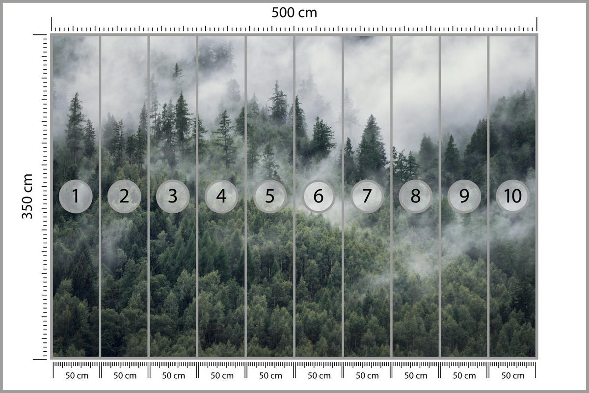 FOTOTAPETE für Schlafzimmer Morgennebel Nadelwald Bäume 500x350 - Weiß/Grau, Papier (500/350cm) - Muralo