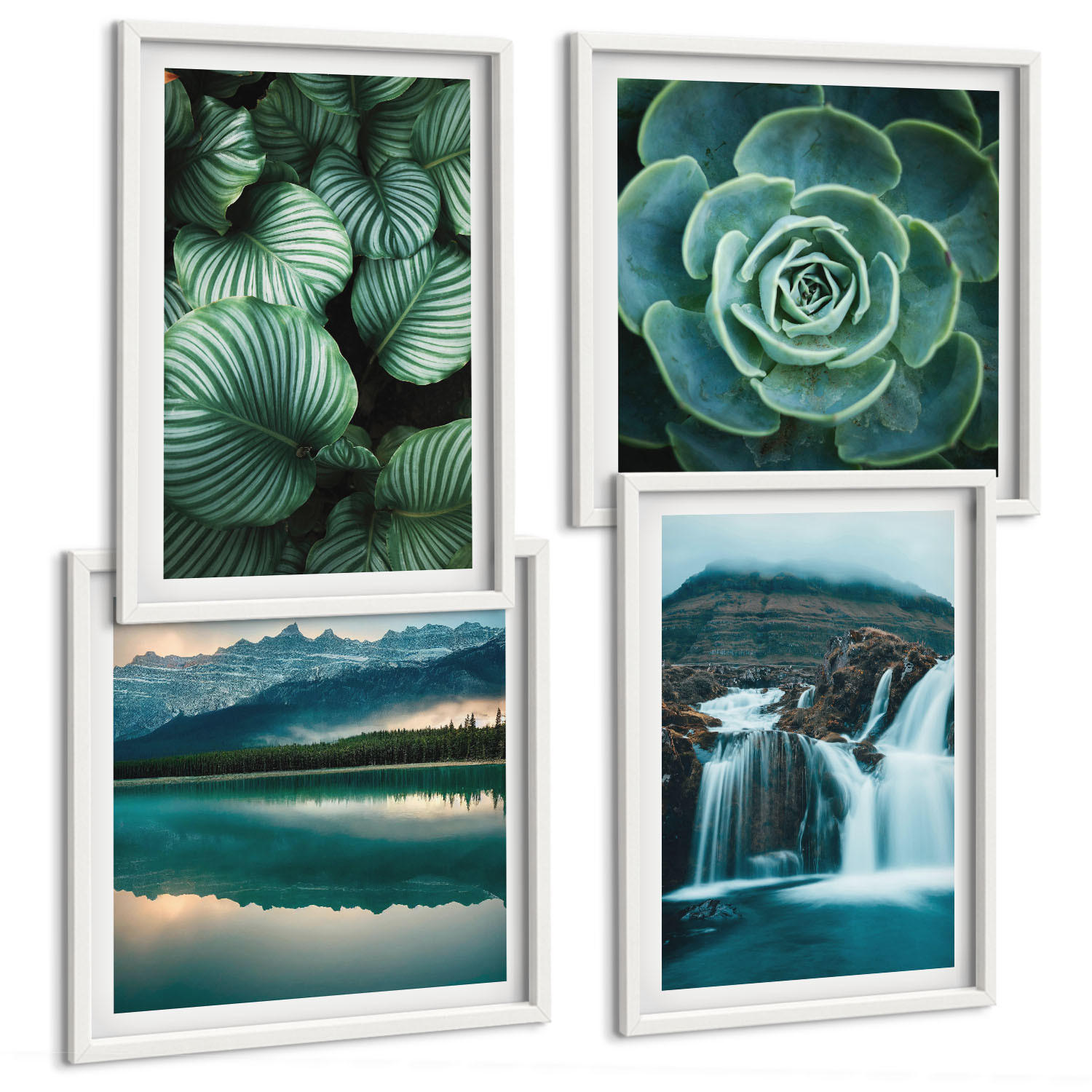 BILDER SET 4er Set - 50x50 cm & 40x60 cm Weißer Rahmen - Nahaufnahmen von Blättern sukkulenter Pflanzen - Weiß, Kunststoff (50/50cm) - TULUP