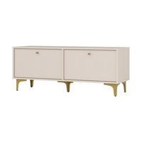 LOWBOARD TORINO 120,6x40,8x48,5 cm mit 2 Türen Beige - Beige, Holzwerkstoff (120.6/48.5/40.8cm) - MASSENO