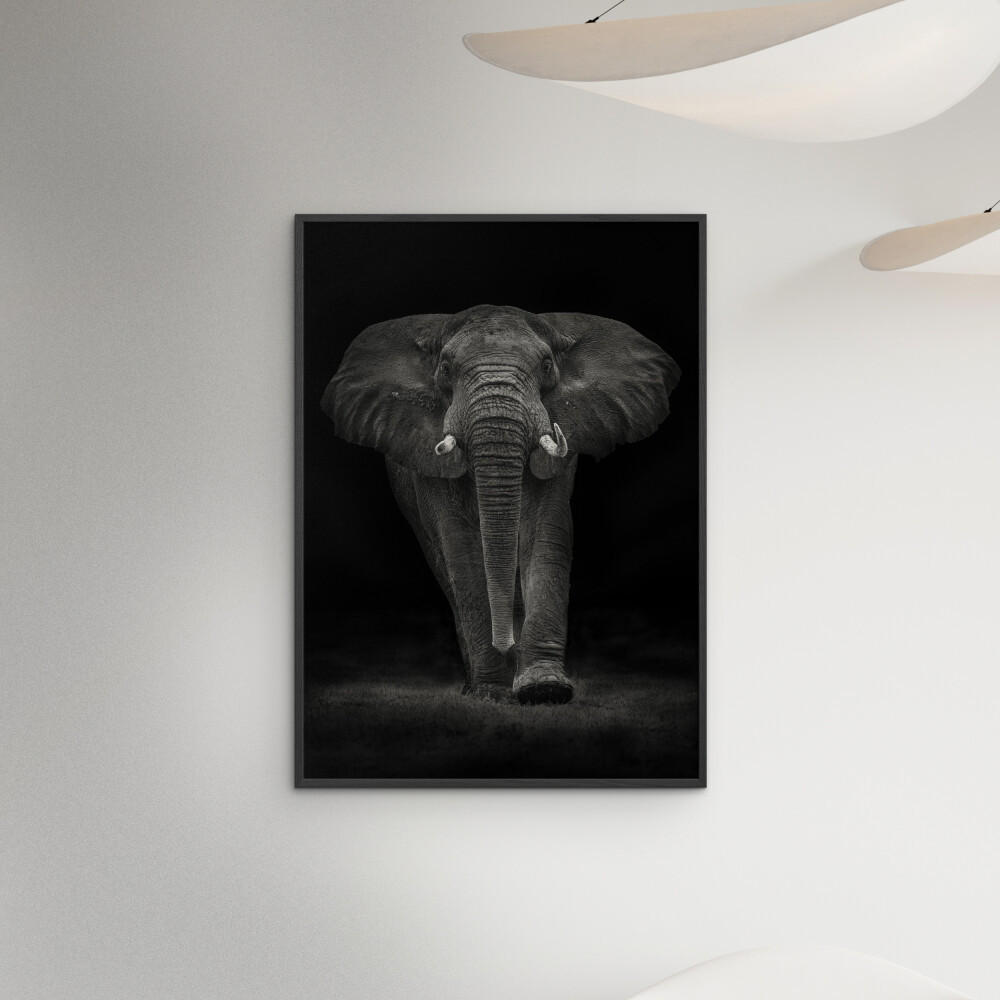 POSTER mit Rahmen Mario Moreno - Ngorongoro Bull - Dunkelgrau/Schwarz, Holz/Papier (50/70cm) - Poster&Frame