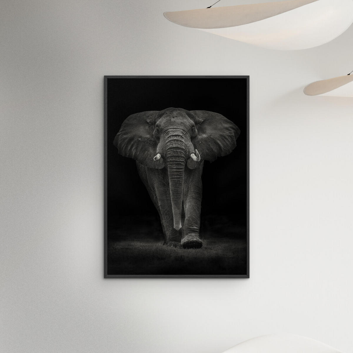 POSTER mit Rahmen Mario Moreno - Ngorongoro Bull - Dunkelgrau/Schwarz, Holz/Papier (50/70cm) - Poster&Frame