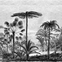 FOTOTAPETE tropische Landschaft mit Palmen 350 x 279 cm - Schwarz, Papier (350/279cm) - ESTAhome