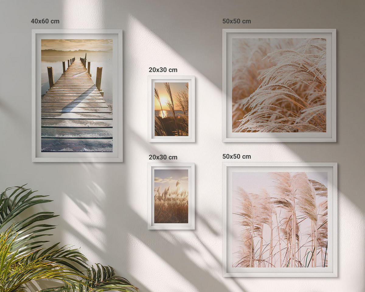 BILDER SET 5er Set - 50x50 cm & 20x30 cm & 40x60 cm Weißer Rahmen - Boho-Grasfeld-Sonnenuntergang - Weiß, Kunststoff (40/60cm) - TULUP