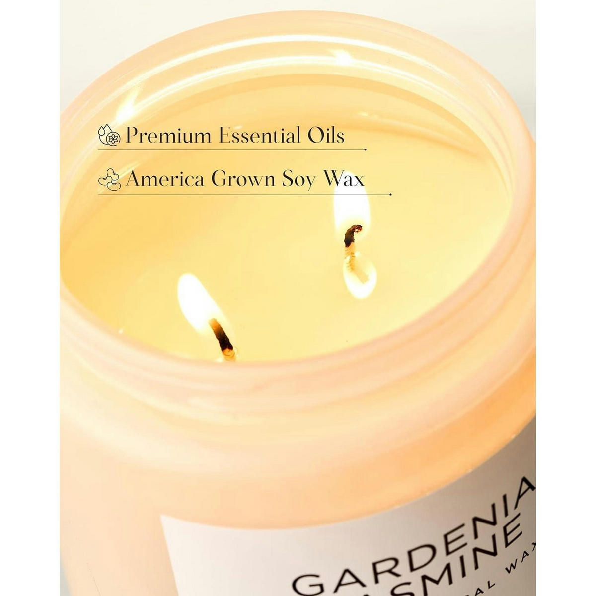 DUFTKERZE Gardenia Jasmin 550g 2-Docht Sojawachs - Creme, Paraffin (13cm)