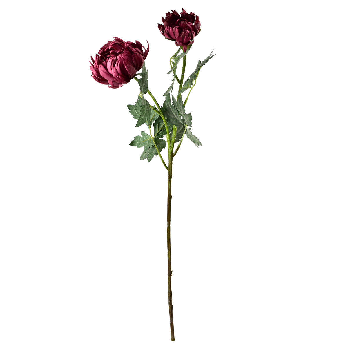 KVĚTINOVÁ VĚTEV Chryzantéma, 2 ks, 69 cm - zelená barva, plast (69cm) - Mondex