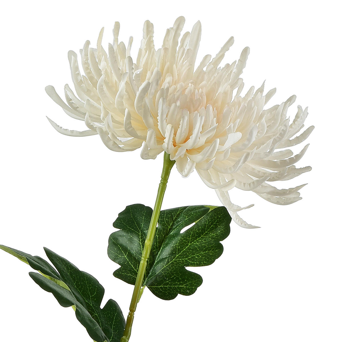 UMĚLÁ KVĚTINA VIRIDIS, plast - krémová, plast (70cm) - Mondex