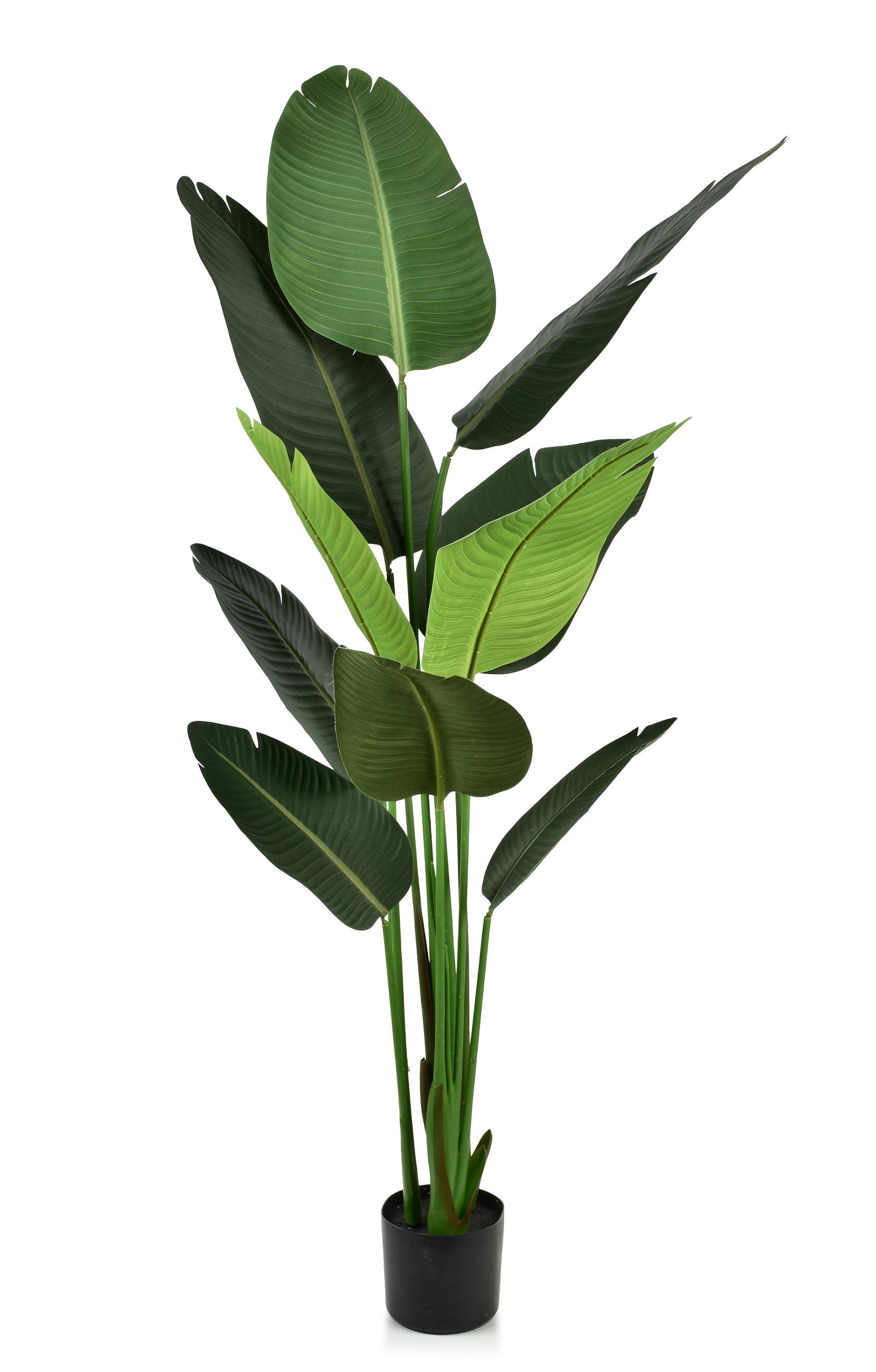 KUNSTBLUME Jungle Grün 160/160/160 cm Kunstoff - Grün, Kunststoff (160cm) - Mondex