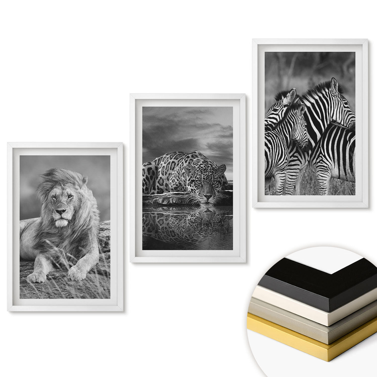 WANDBILDER 3er-Set - 40x60 cm Weißer Rahmen - Wildtiere der Savanne - Weiß, Kunststoff (40/60cm) - ArtPrintCave