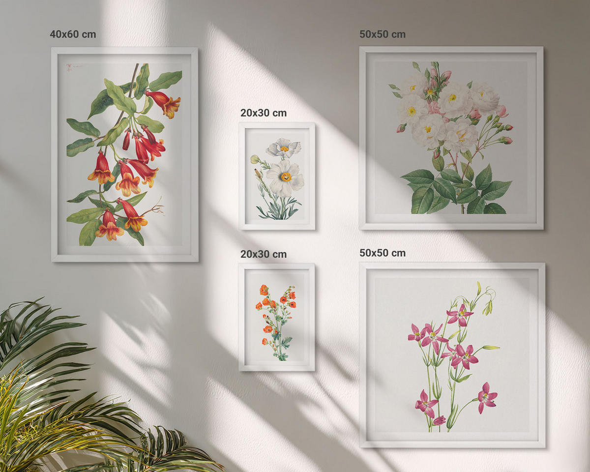 BILDER SET 5er Set - 50x50 cm & 20x30 cm & 40x60 cm Weißer Rahmen - Retro-Blumenmalerei - Weiß, Kunststoff (40/60cm) - TULUP