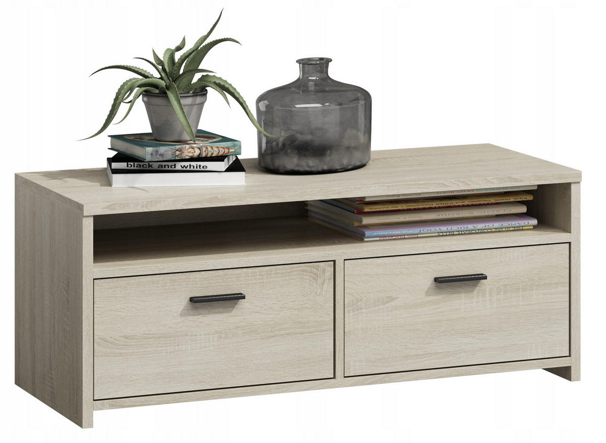 FERNSEHKOMMODE Mili Sonoma Eiche 100/45/44 cm - Sonoma Eiche, Holzwerkstoff (100/44/45cm) - Matkam Möbel
