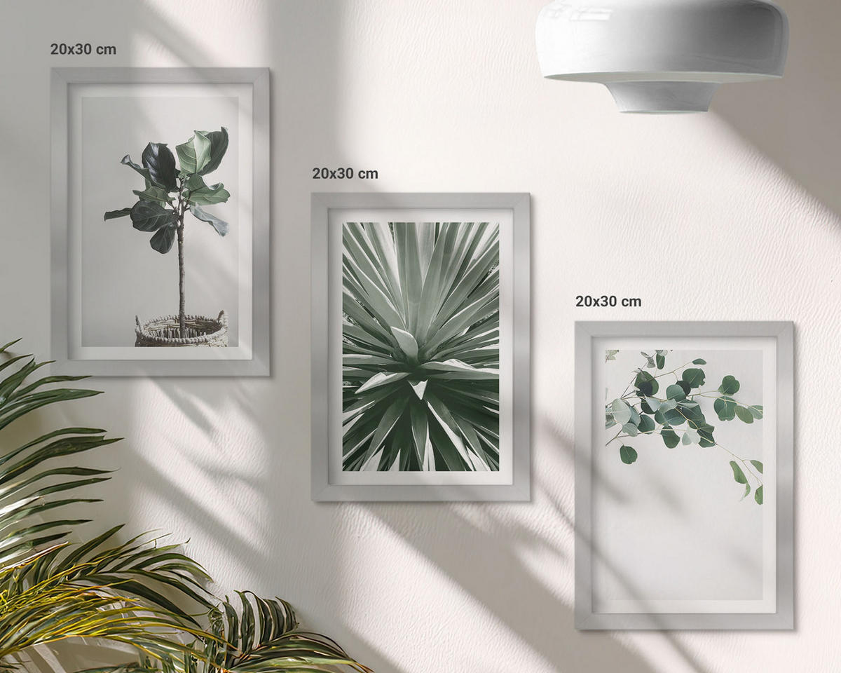WANDBILDER 3er Set - 20x30 cm Silberner Rahmen - Minimalismus mit grünen Pflanzen - Silberfarben, Kunststoff (20/30cm) - ArtPrintCave