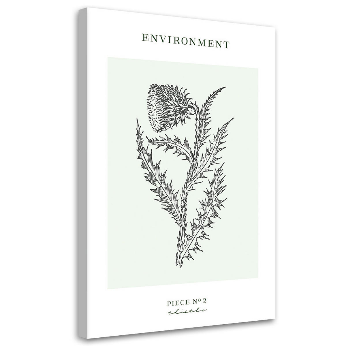 WANDBILD distelblume umwelt - Türkis, Textil (40/60cm) - Feeby