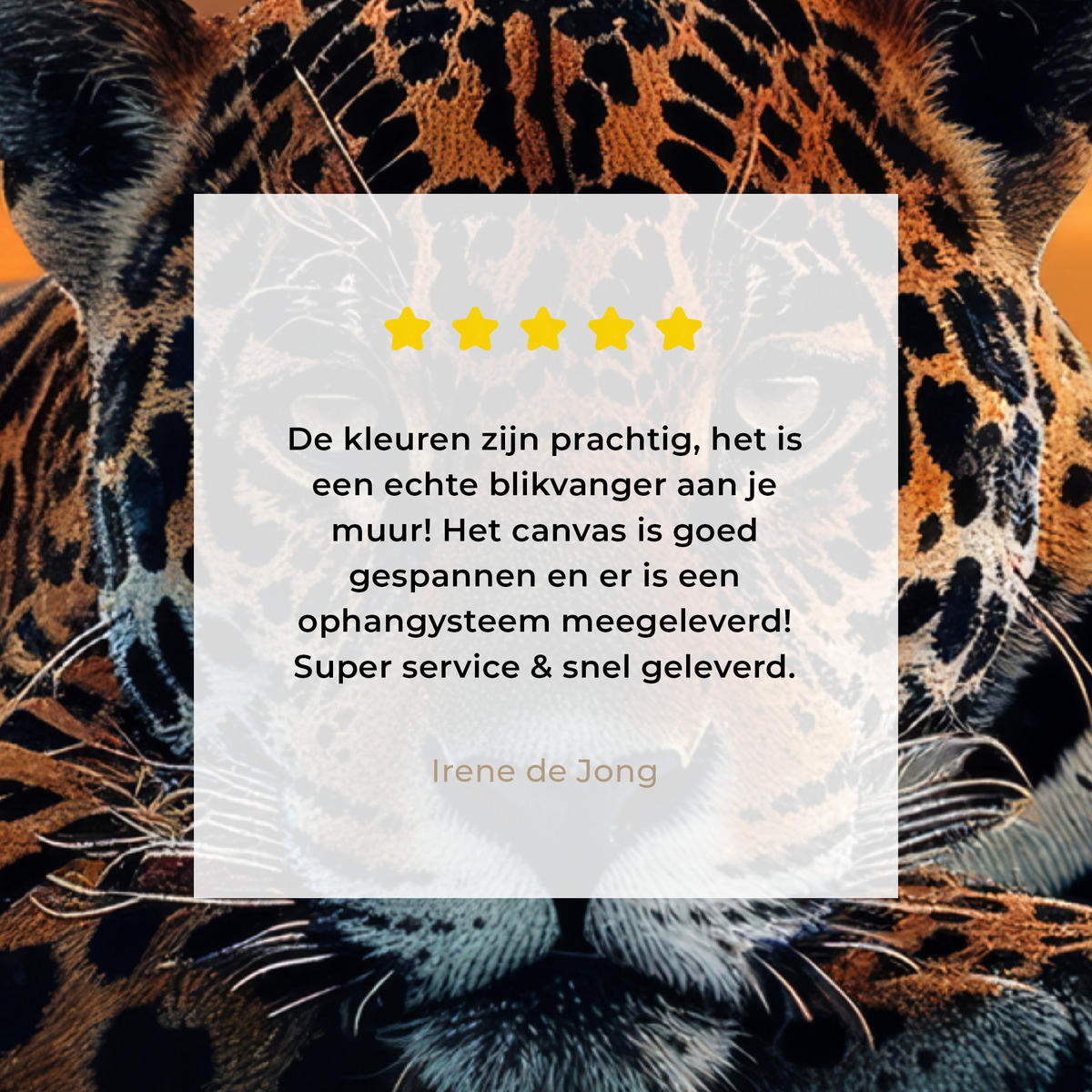 LEINWANDBILD Natur - Leopard - Tier - Sonnenuntergang - Modern Wandbild Wohnzimmer 60x80 cm - Orange, Textil (60/80cm) - MuchoWow