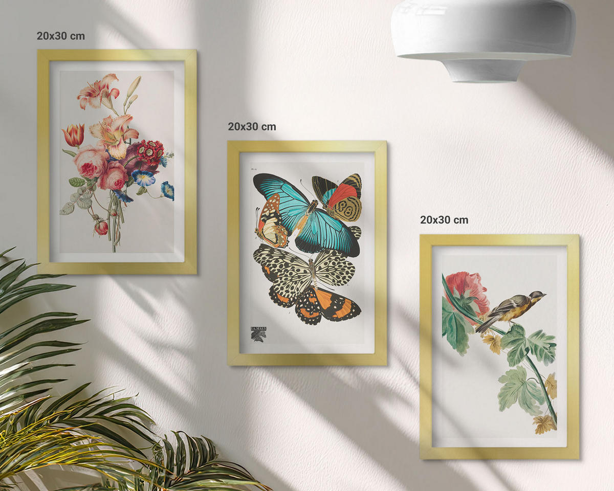 BILDER SET 3er Set - 20x30 cm Goldrahmen - Blumen, Schmetterlinge, Vögel, Pastellfarben - Goldfarben, Kunststoff (20/30cm) - TULUP