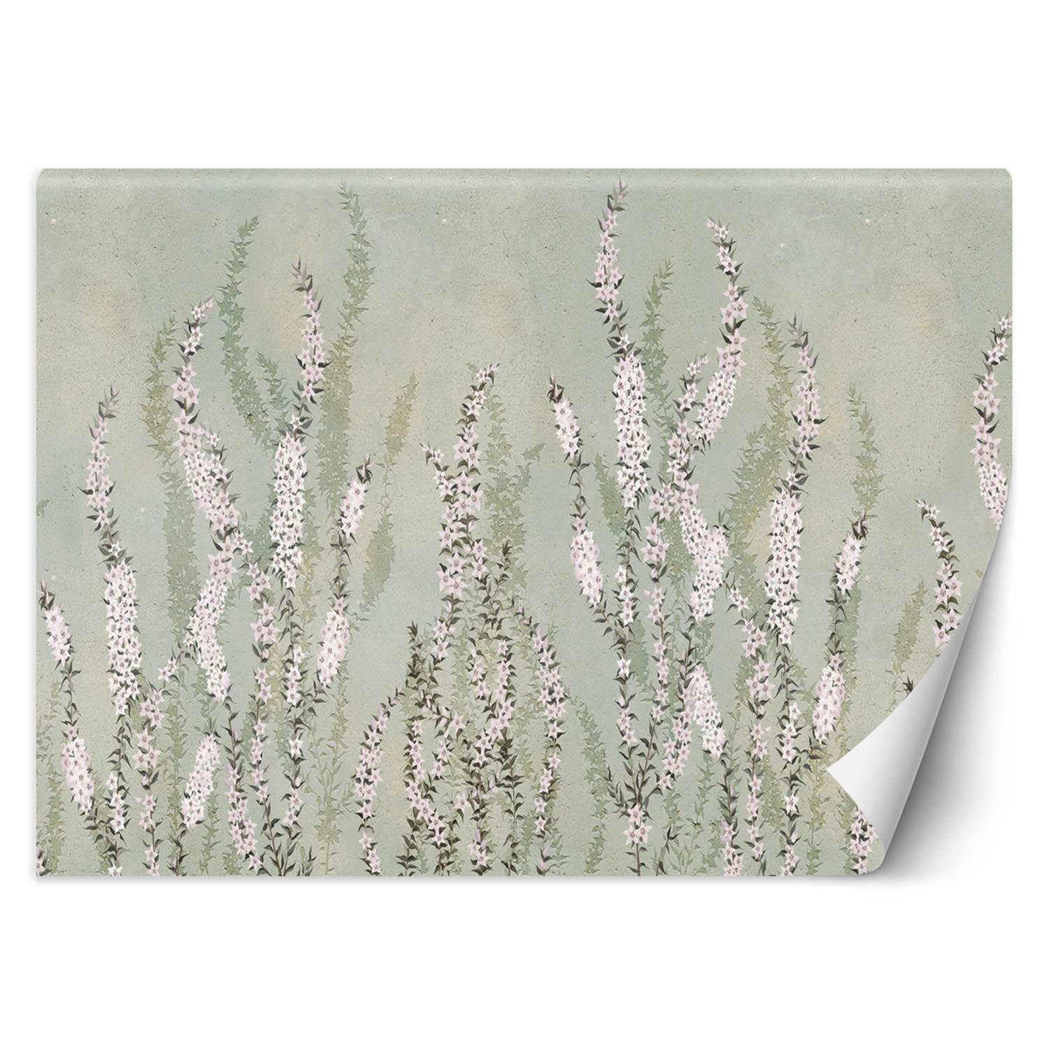 FOTOTAPETE, Boho Blumen an der Wand Hintergrund - Grau, Papier (368/254cm) - Feeby