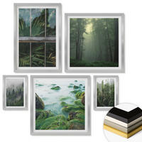 WANDBILDER 5er Set - 50x50 cm & 20x30 cm & 40x60 cm Silberner Rahmen - Nahaufnahmen von Blättern sukkulenter Pflanzen - Silberfarben, Kunststoff (40/60cm) - ArtPrintCave